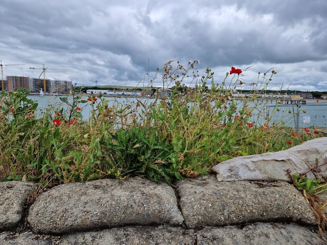 The Lord-Lieutenant of West Sussex, Lady Emma Barnard, has been given a tour of Shoreham Fort and shown the vision for the future before presenting the King's Award for Voluntary Service to the Friends of Shoreham Fort.