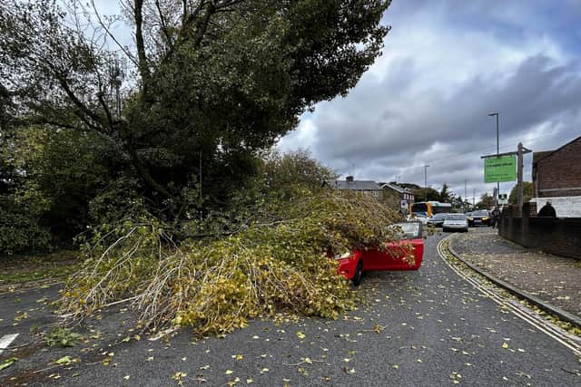 Road blocked after fallen tree lands on car in Chichester. Photo: Sussex News and Pictures