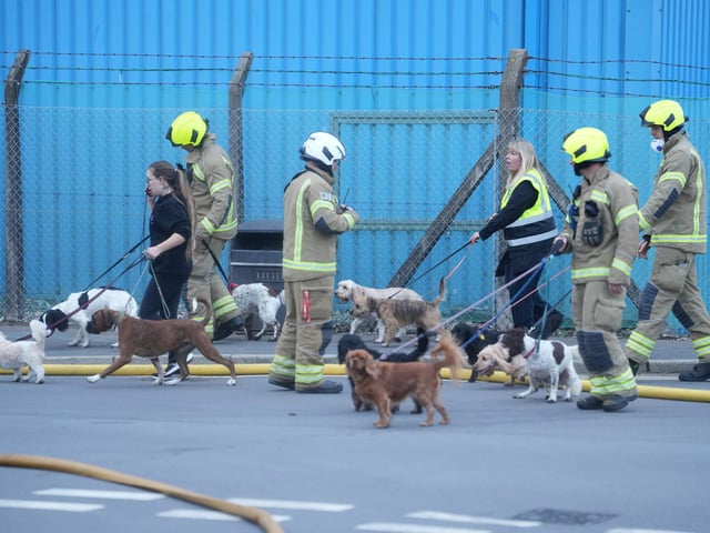 The firefighters at the scene of the fire. Picture: Eddie Mitchell
