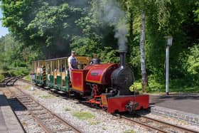 Peter will be in steam over the gala weekend and visitors can enjoy a ride behind this magnificent 105-year-old locomotive. Picture: Pete Edgeler