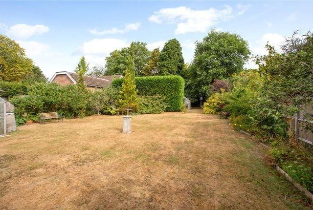 The inpressive and secluded garden with a greenhouse in the back