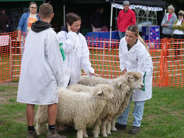 Findon Sheep Fair 2026