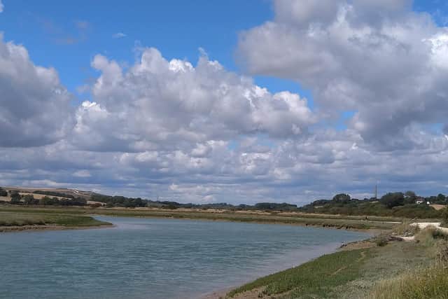 Green councillors believe that the River Adur 'deserves a voice in any future development and plans for the area' . Photo contributed