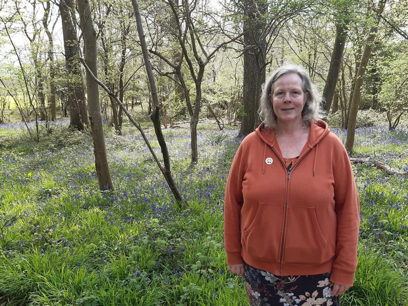 Elated on my bluebell walk to America Wood in Ashington and Capite Wood on the Wiston Estate, with view over the South Downs north of Worthing