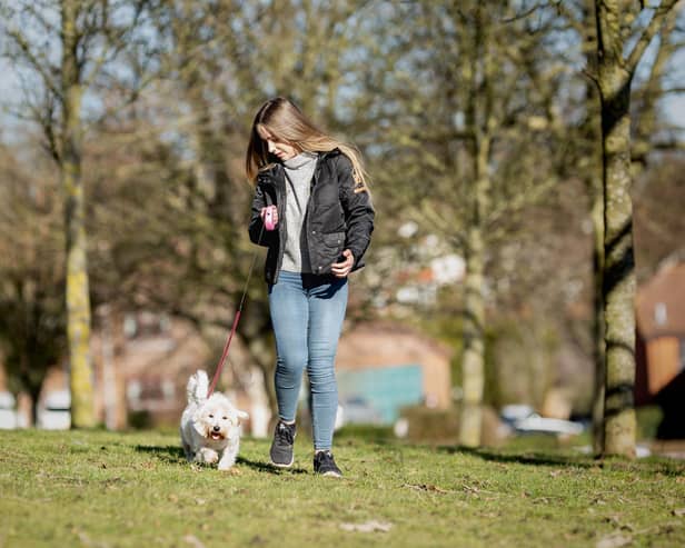 More dog walking volunteers are urgently needed in Worthing to help national charity The Cinnamon Trust with the free pet care it offers people over retirement age and those in the latter stages of a terminal illness