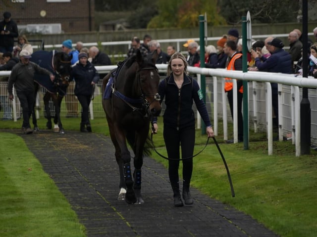 November jump racing at Fontwell Park