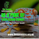 A Bognor based charity dedicated to rescuing and rehabilitating reptiles is celebrating its second anniversary by appealing for volunteers to help expand its work across the county. Picture: The Sussex Reptile Rescue Centre