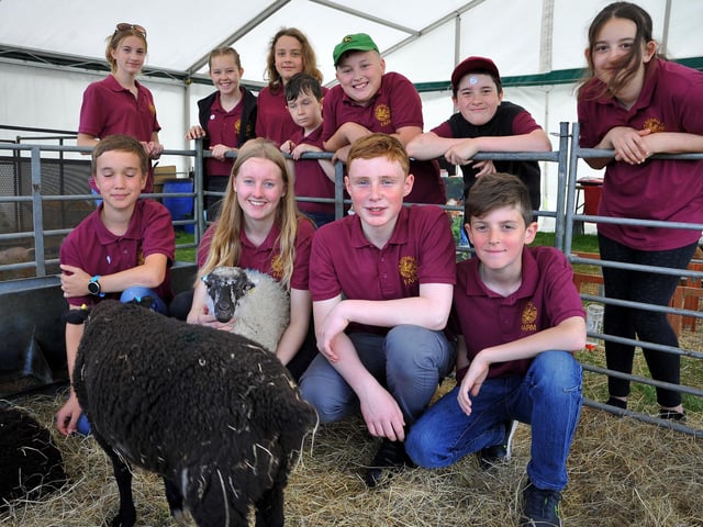 The South of England Show 2022 at Ardingly