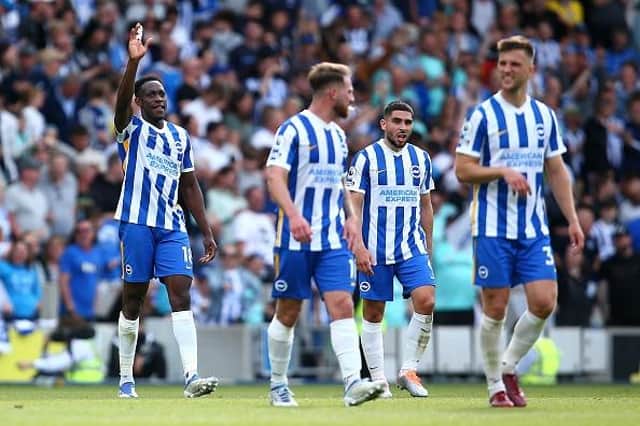 Brighton and Hove Albion enjoyed a successful season in the Premier League