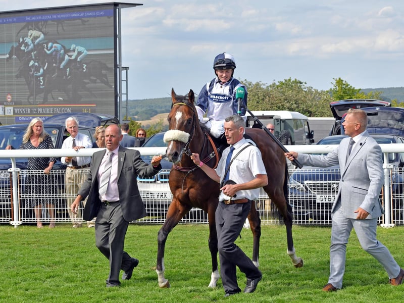 Glorious Goodwood Ladies' Day 2022