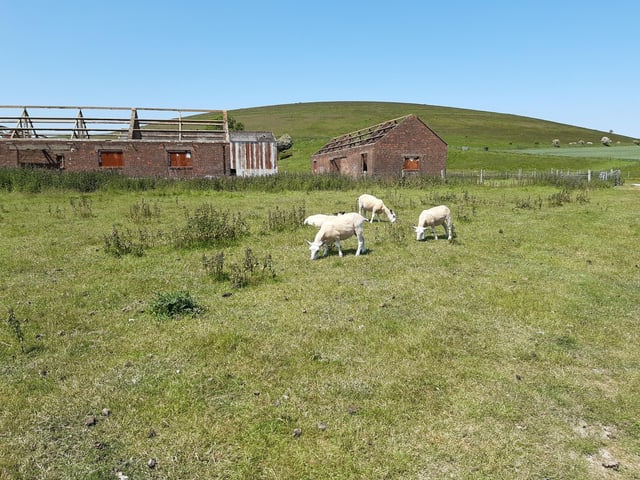 Go to the right of the buildings
