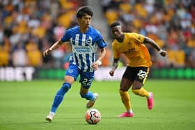 Kaoru Mitoma of Brighton & Hove Albion has been in sparkling form for the Seagulls and is admired by Tottenham boss Ange Postecoglou