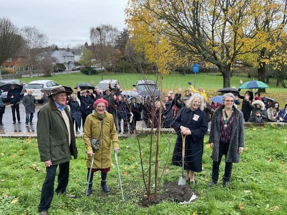 The Lord Lieutenant planting the tree with Chairs of Parish Council and Steyning For Trees