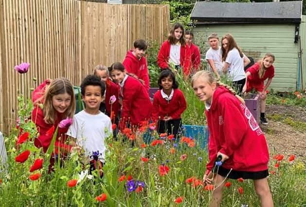 Children have been learning that re-wilding their garden helps sustainability.
