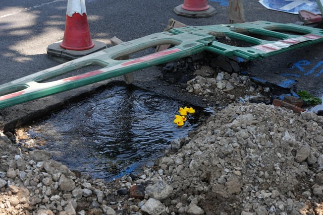 A Worthing resident put rubber ducks into a pond created by a water leak in Worthing