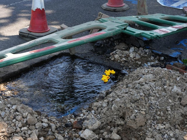 A Worthing resident put rubber ducks into a pond created by a water leak in Worthing