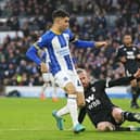 Facundo Buonanotte of Brighton & Hove Albion scores the team's first goal which was disallowed