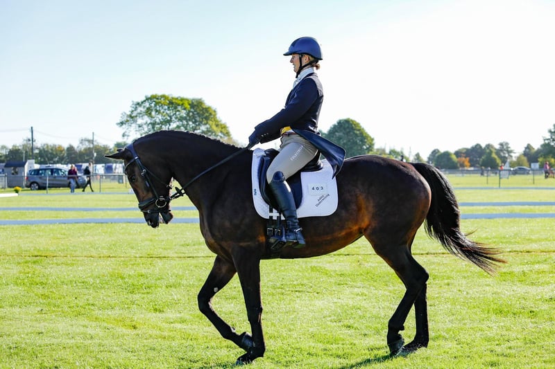 The South of England Agricultural Society’s Autumn Show and International Horse Trials took place at the weekend (September 23-24).