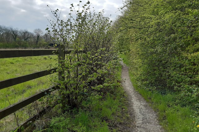 Follow the footpath alongside a field on your left.
