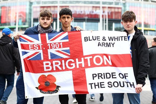 Seagulls at Wembley