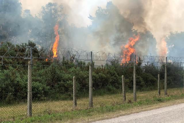 More than 1,200 acres of Surrey land have been destroyed  with smoke and ash spreading as far as Horsham