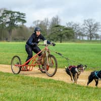 Horsham dog lover ready to fly the flag for Great Britain at sled dog world championships