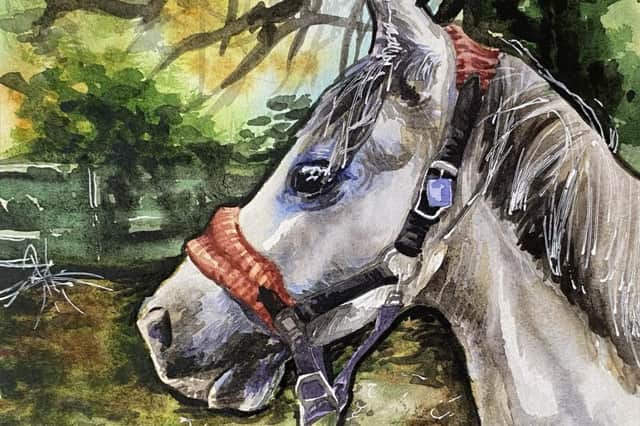 Portrait of a Gray Horse, Watercolour, Dimensions; 148mmx210mm