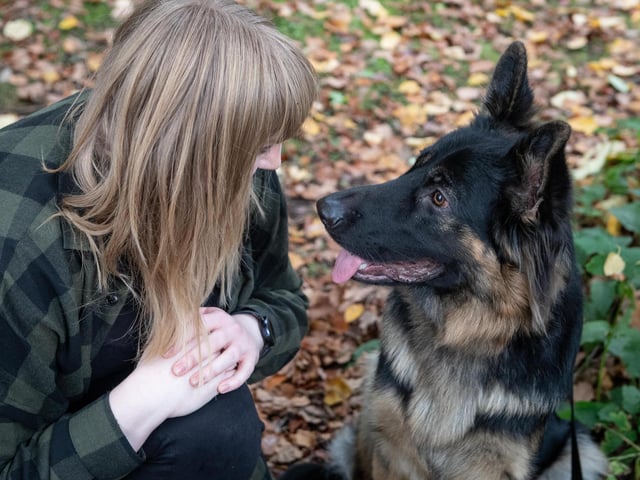 As well as understanding your furry friend and the ways they show us love, Caroline also shares her five key ways that you can show your love to your four legged friend this Valentine's Day and beyond.