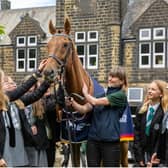 Thousands of people will get the chance to meet racehorses during this national week of events