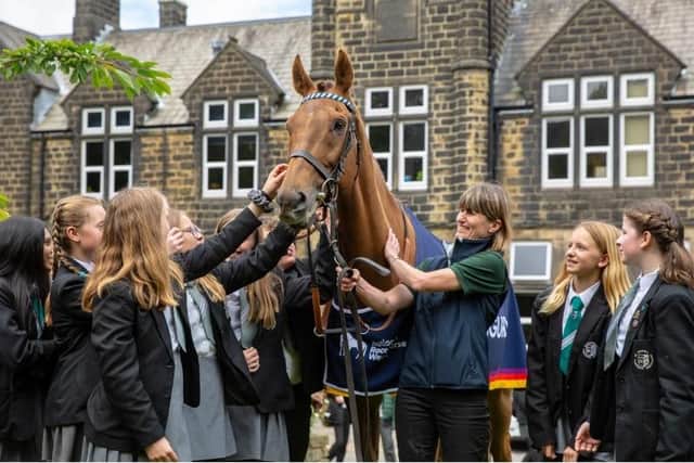 Thousands of people will get the chance to meet racehorses during this national week of events