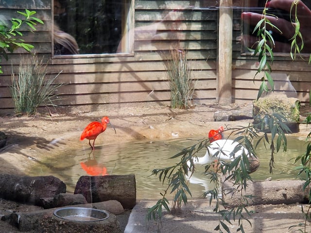 Drusillas offers animals, rides, play areas and more for families from Sussex and beyond