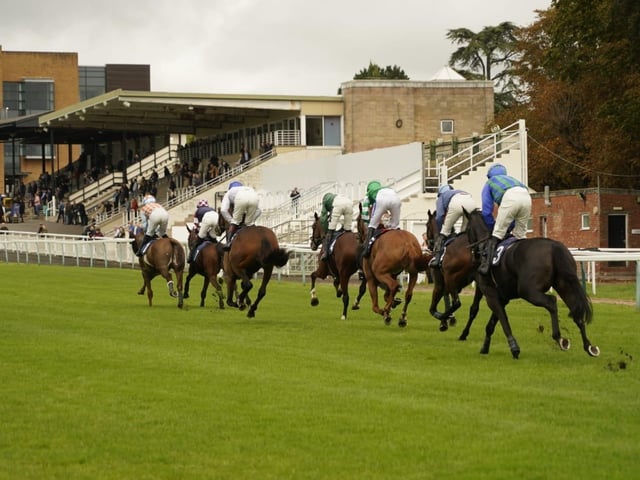 Fontwell Park jump racing action, October 2026