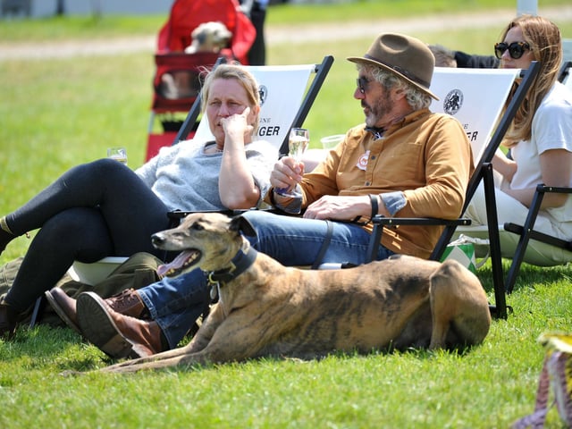 Saturday at Goodwoof 2023. Pic S Robards SR2305201