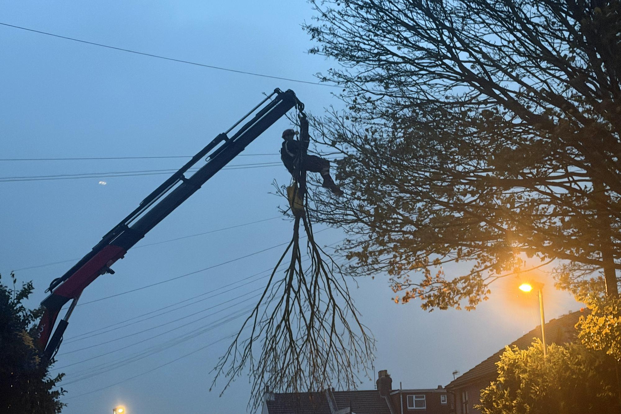 Thousands of homes in Sussex affected by power cuts