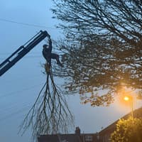 Storm Boelo: Thousands of homes in Sussex affected by power cuts