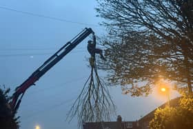 Fire crews were called to a report of a tree branch on electrical wires in Worthing. Photo: Eddie Mitchell