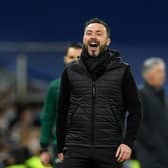 Brighton and Hove Albion have appointed Roberto De Zerbi as their new manager after Graham Potter left for Premier League rivals Chelsea