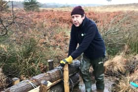 Conservation work in Ashdown Forest