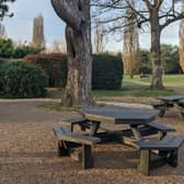 The newly-refurbished picnic area in Horsham Park