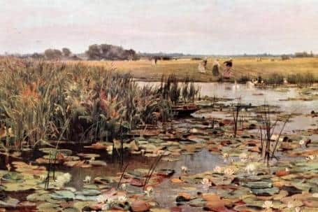 Water Lilies by James Aumonier