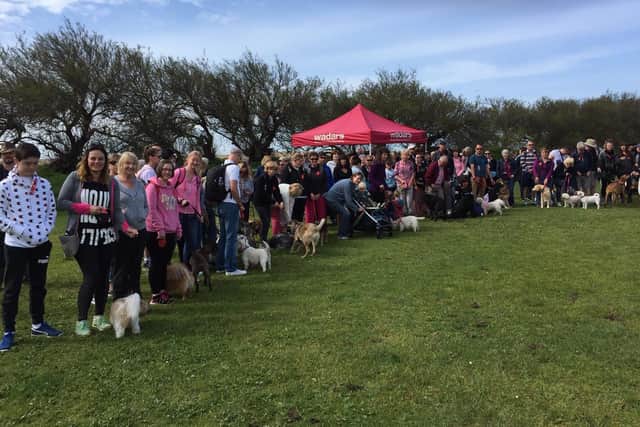 A Worthing animal rescue is appealing for people to join in with its annual fundraising event which will see participants walk up to five miles along the seafront – and you can take part with or without a dog.