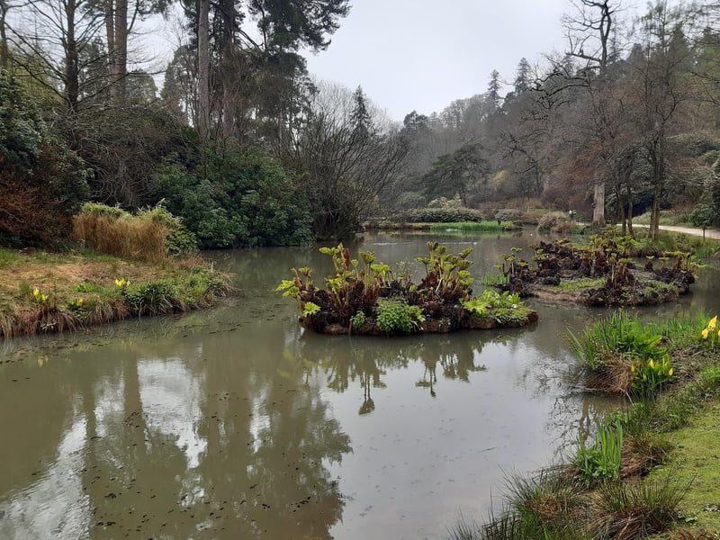 Leonardslee Gardens, in West Sussex, reopened in 2019 after a closure of 10 years. The magnificent Grade I listed garden was nearly lost forever and has been the subject of the largest garden restoration in England and possibly Europe.