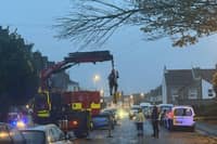 Fire crews remove a fallen branch in Pilgrims Terrace, Worthing.