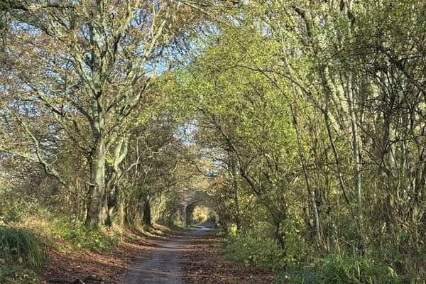 The lane leading to the potential new Hellingly scheme