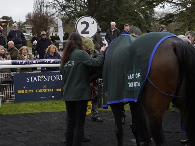 National Spirit Hurdle race day 2025 at Fontwell Park