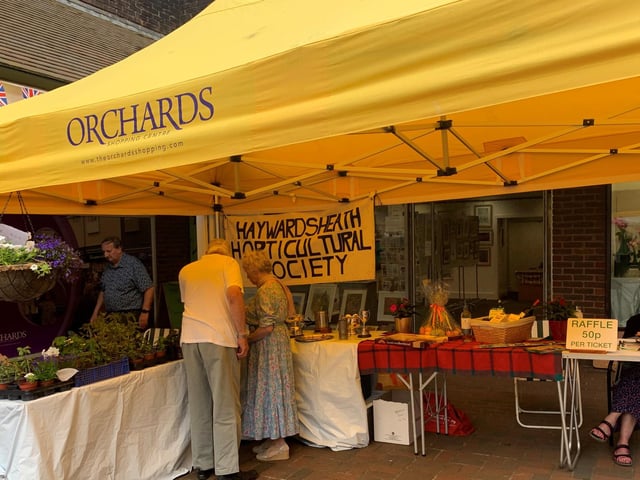 Plant and raffle stall