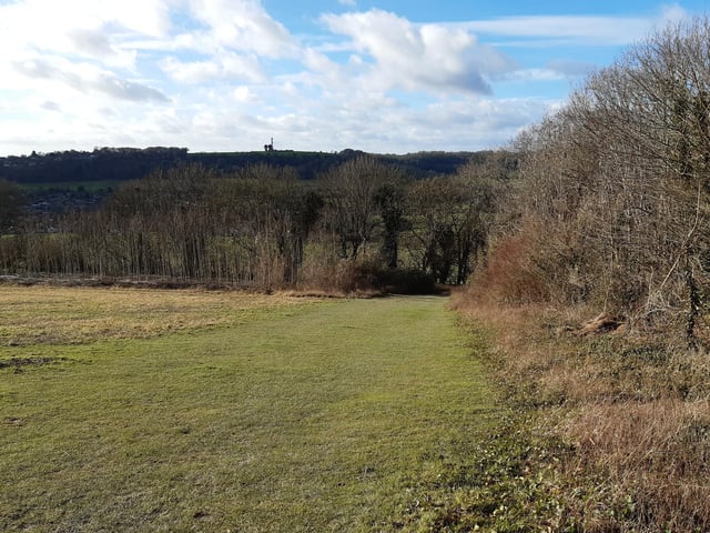 Just like in the last field, carry on down to the bottom, looking for a gap in the trees.