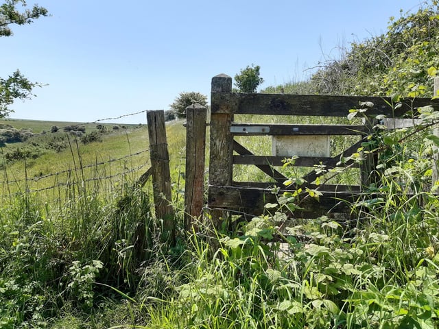 You should come to a gate taking you out of the nature reserve