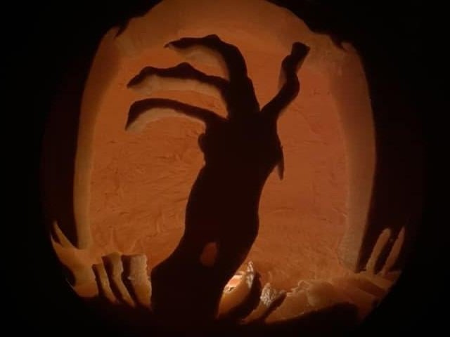 Pumpkin picture provided by Hannah Knight