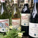 Fairtrade wines from South Africa